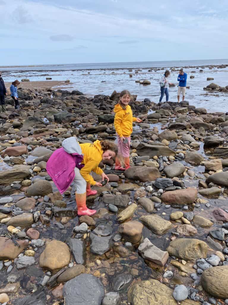 Hunting for fossils at Whitby Bay