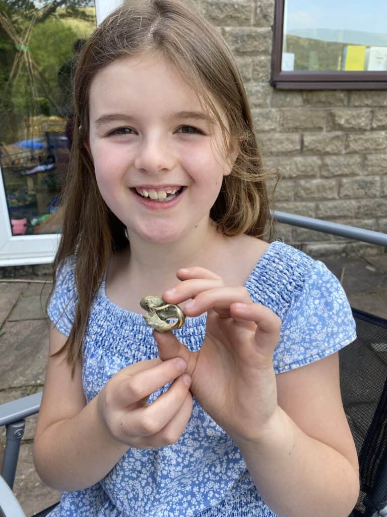 Peggy found a skull in her owl pellet
