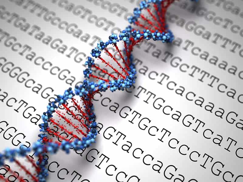 DNA strand on a page of DNA sequence