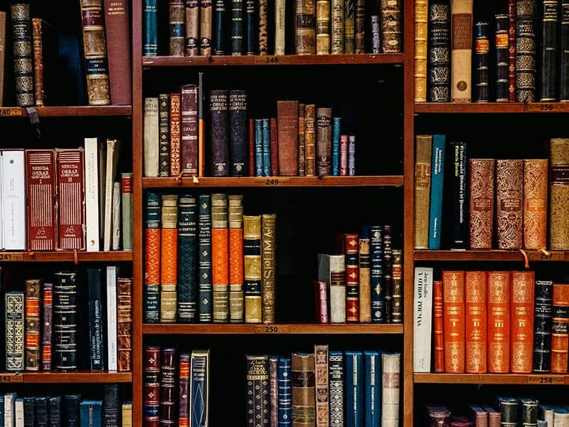 Books on a bookshelf representing English Literature
